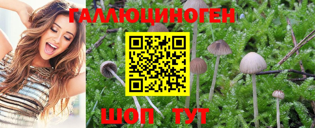 Псилоцибиновые грибы Cubensis  Вход с VPN  Галлюциногенные грибы GOLDEN TEACHER  Когалым 