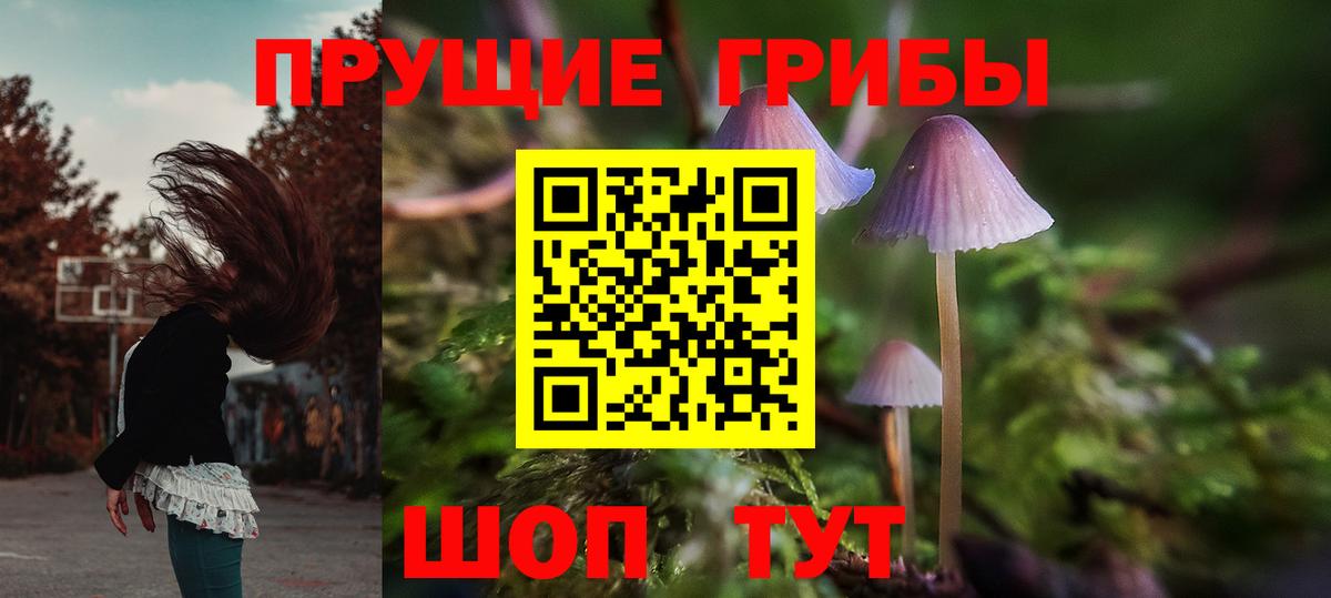 Псилоцибиновые грибы Psilocybe Когалым